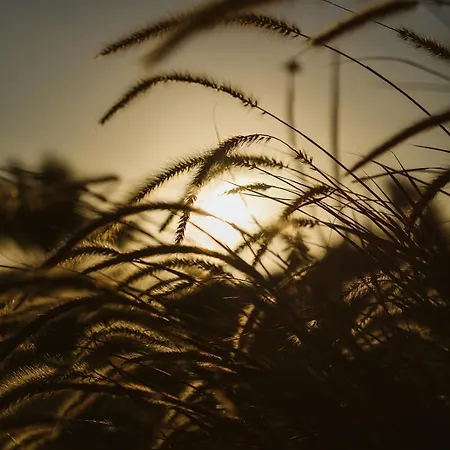 La Pausa Дом отдыха