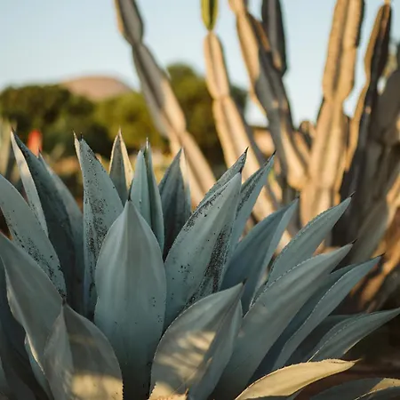 La Pausa Дом отдыха *