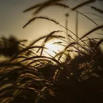 La Pausa Дом отдыха